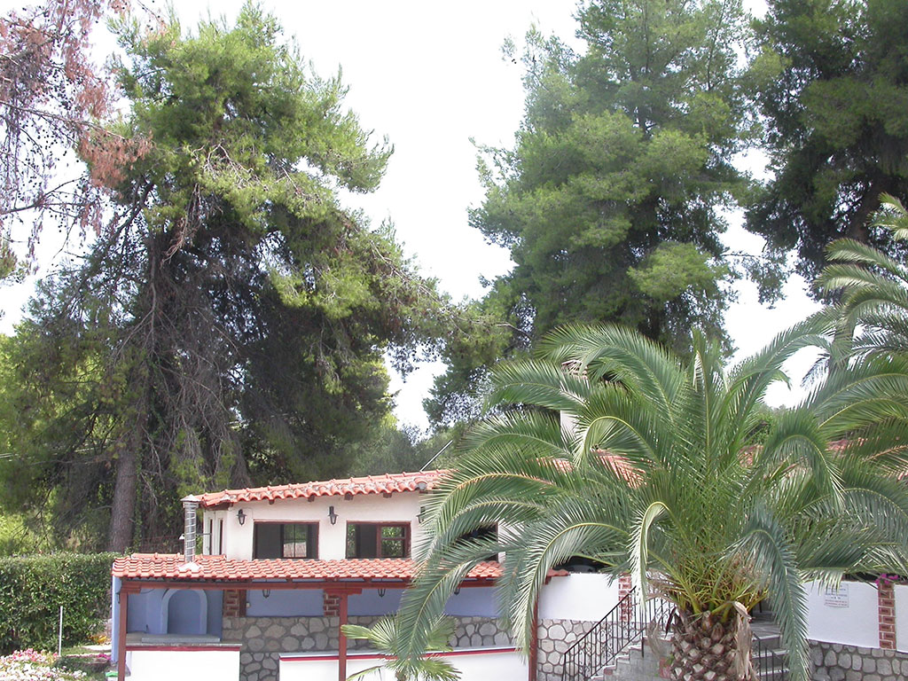 Grcka hoteli letovanje, Kriopigi,Halkidiki,Kassandra Bay hotel,spolja