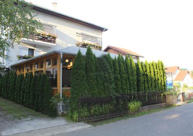 Banje,Vrnjačka Banja, smeštaj, Hotel Danica Vagres, ulaz