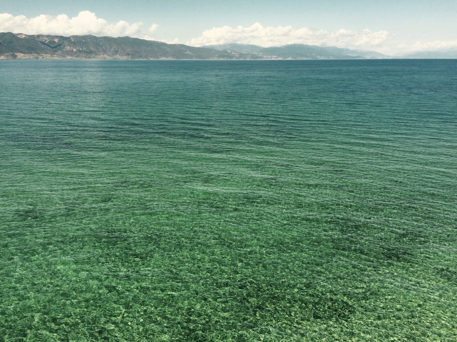 Ohridsko jezero, put Ohrid, kristalno čista voda