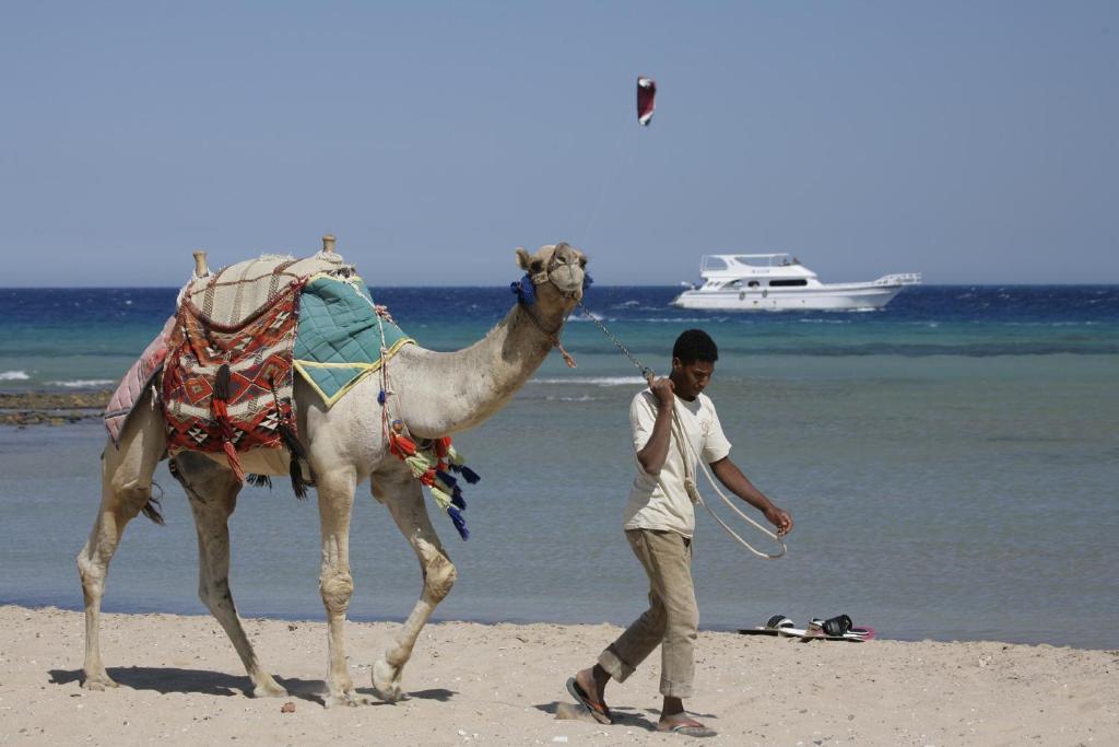 Letovanje Egipat avionom, Hurgada, Soma Bay, Hotel Imperial Shams Abu Soma, animacija na plaži