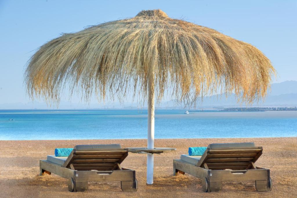 Letovanje Egipat avionom, Hurgada,Soma Bay, Steigenberger Resort Ras Soma, ležaljke na plaži