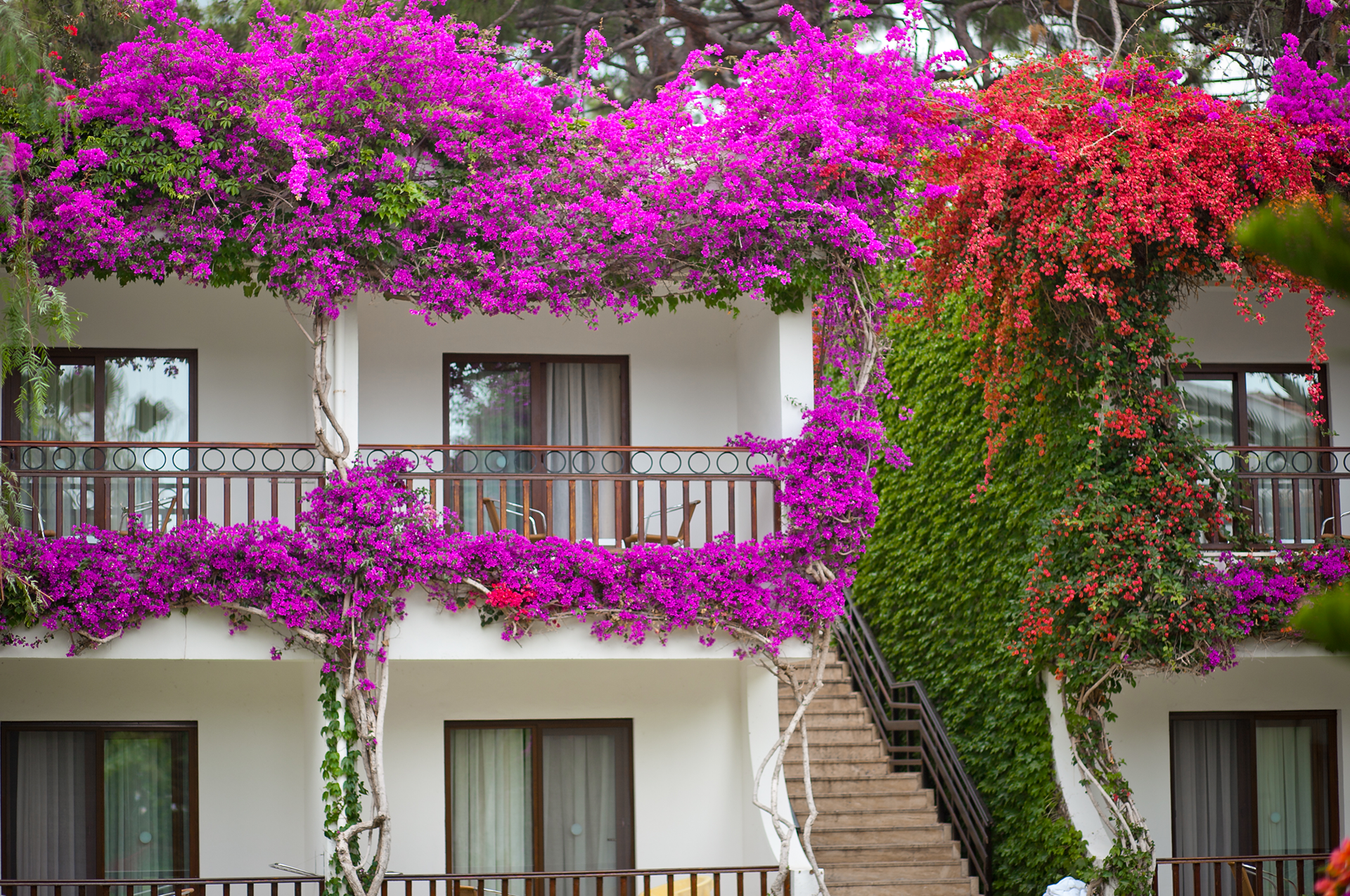 Club Boran Mare Beach