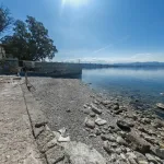Theoxenia Lutraki