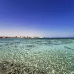 IMG_20220215_114540